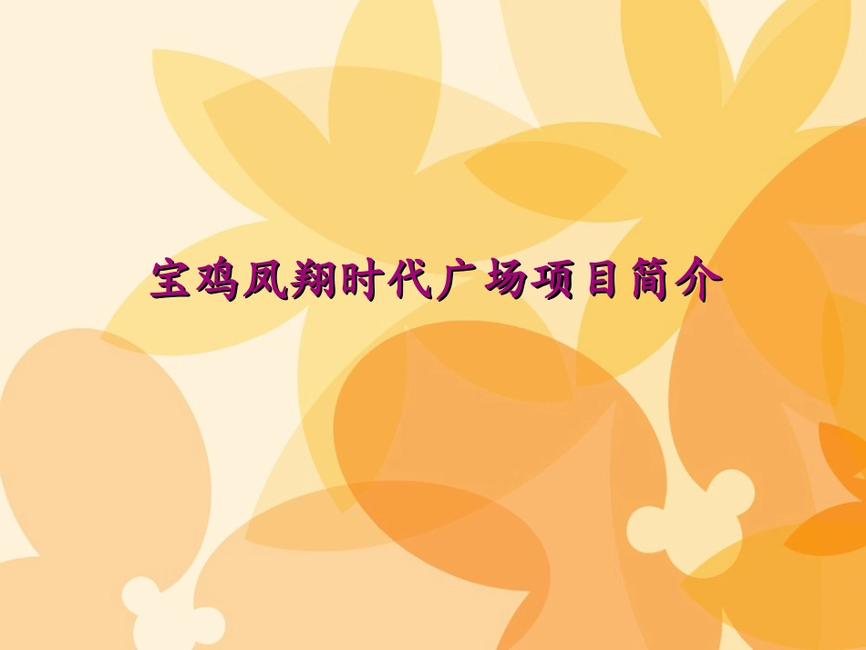 凤翔时代广场简介_第1页