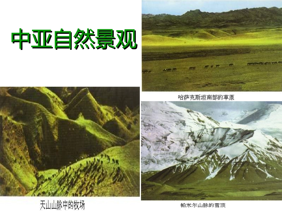 中亚课件 成品_第2页