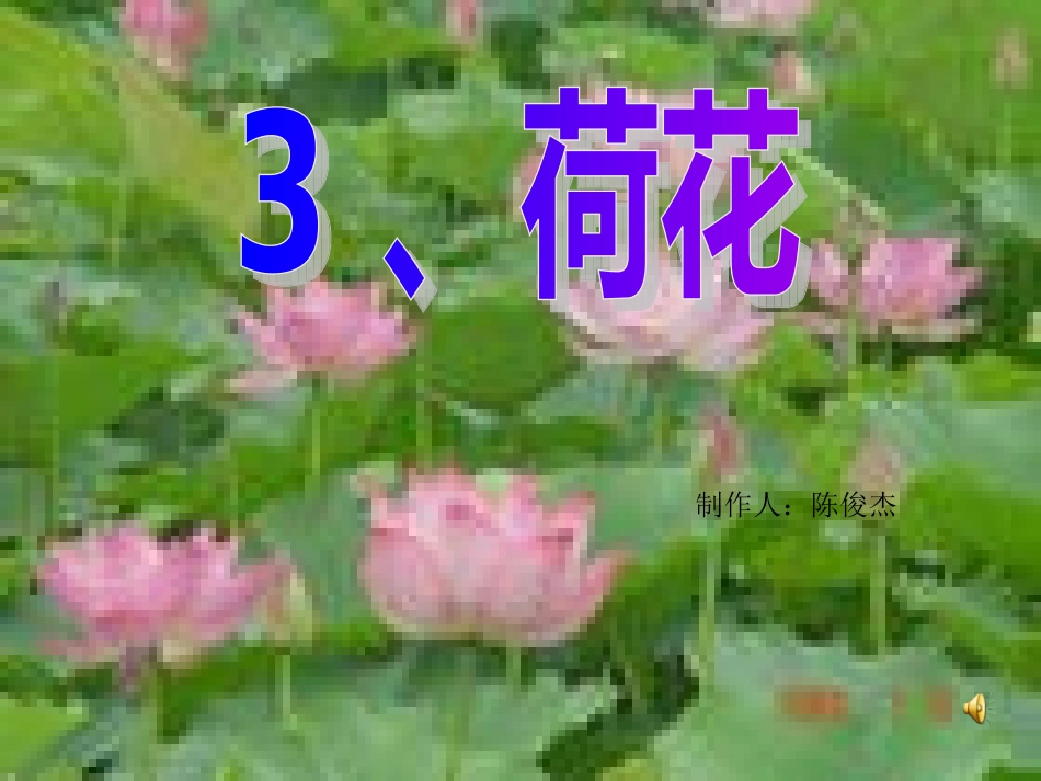 《荷花》课件【7页】_第1页