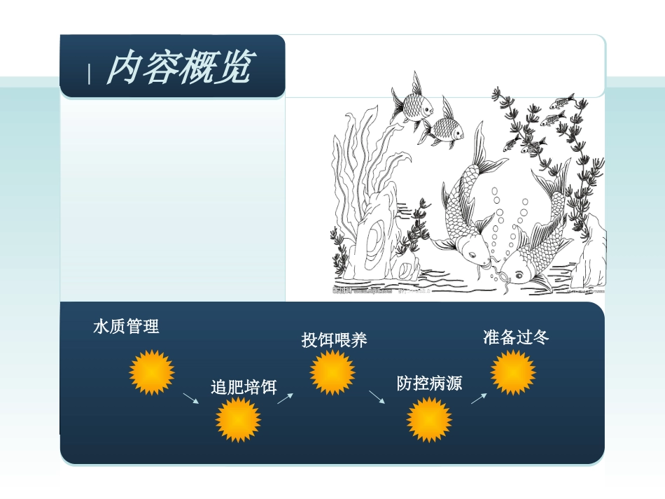 秋季养鱼-2013319_第2页