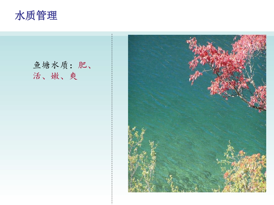 秋季养鱼-2013319_第3页