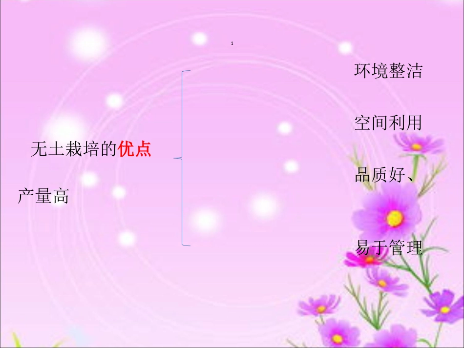 劳动与技术《无土栽培》_第3页