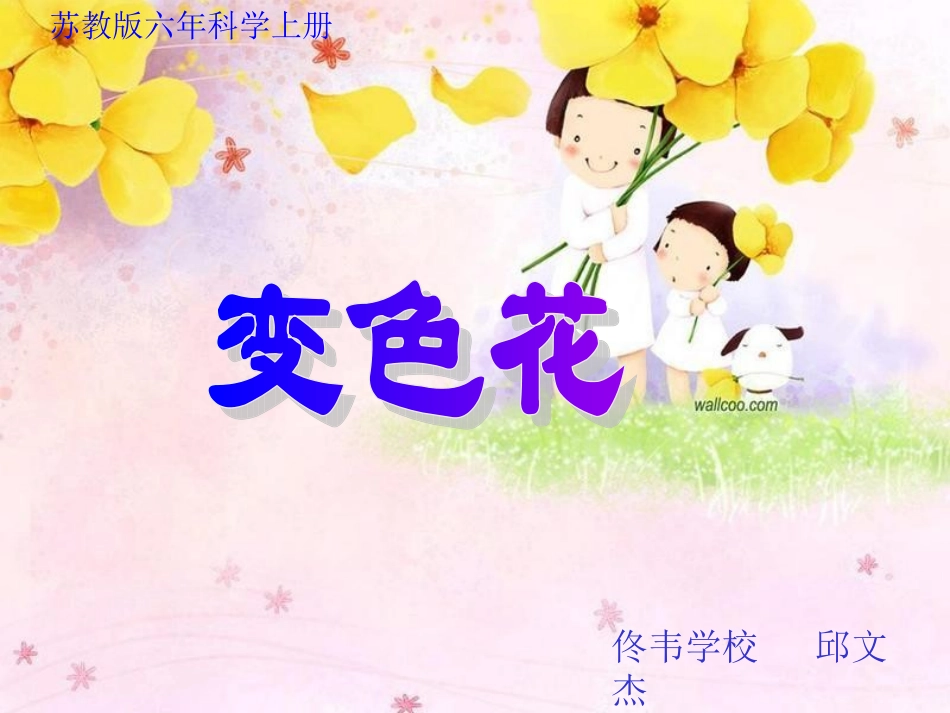 六年级科学变色花课件_第1页