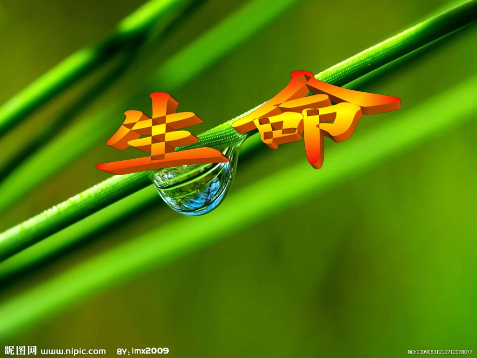 四年级下册五单元作文(完美版)_第3页