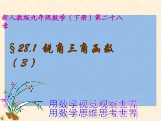 28.1-锐角三角函数-(4)
