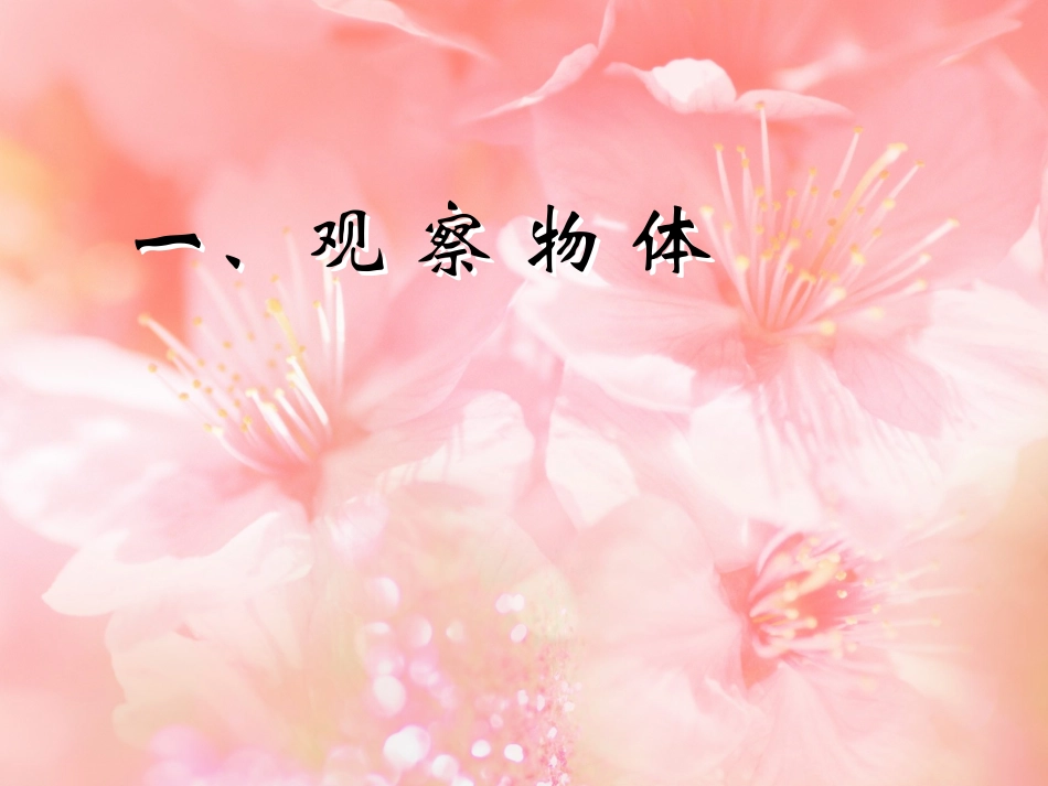 人教版数学二年级上册《观察物体》复习_第1页