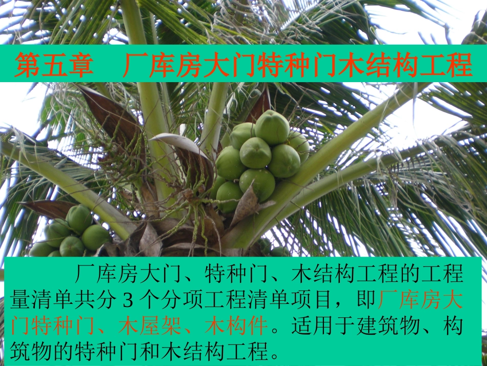 第五章厂库房大门特种门木结构工程_第1页