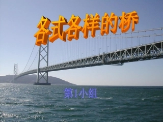 各式各样桥1