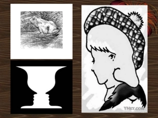 作文1立意指导(2015年3月26日)