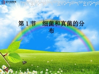 《细菌和真菌的分布》导学案