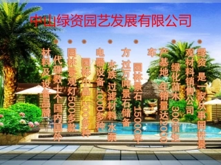 苗木,花木,广东花木之桂木,国庆花,海檬果,海南红豆,海南黄花梨简介