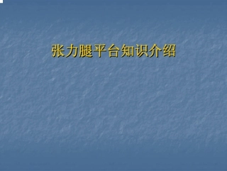 张力腿平台2