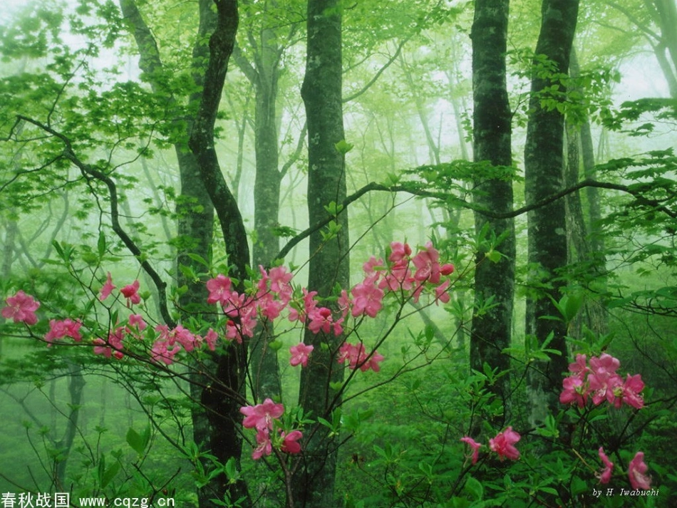 2春雨的色彩_第2页