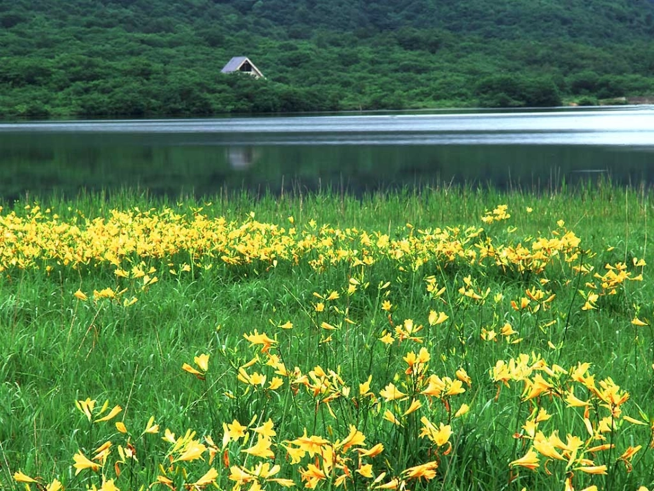 2春雨的色彩_第3页