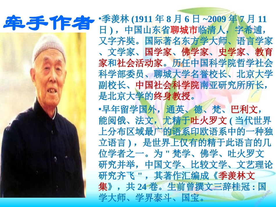 清塘荷韵课件_第2页