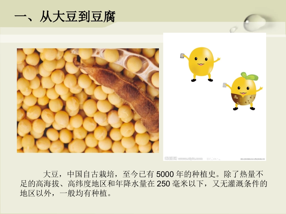 中国传统食品豆腐-综述_第2页