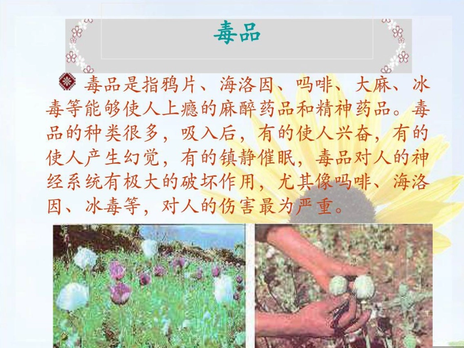 六年级思品《学会拒绝》课件_第3页