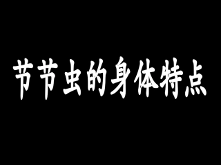 节节虫的身体特点