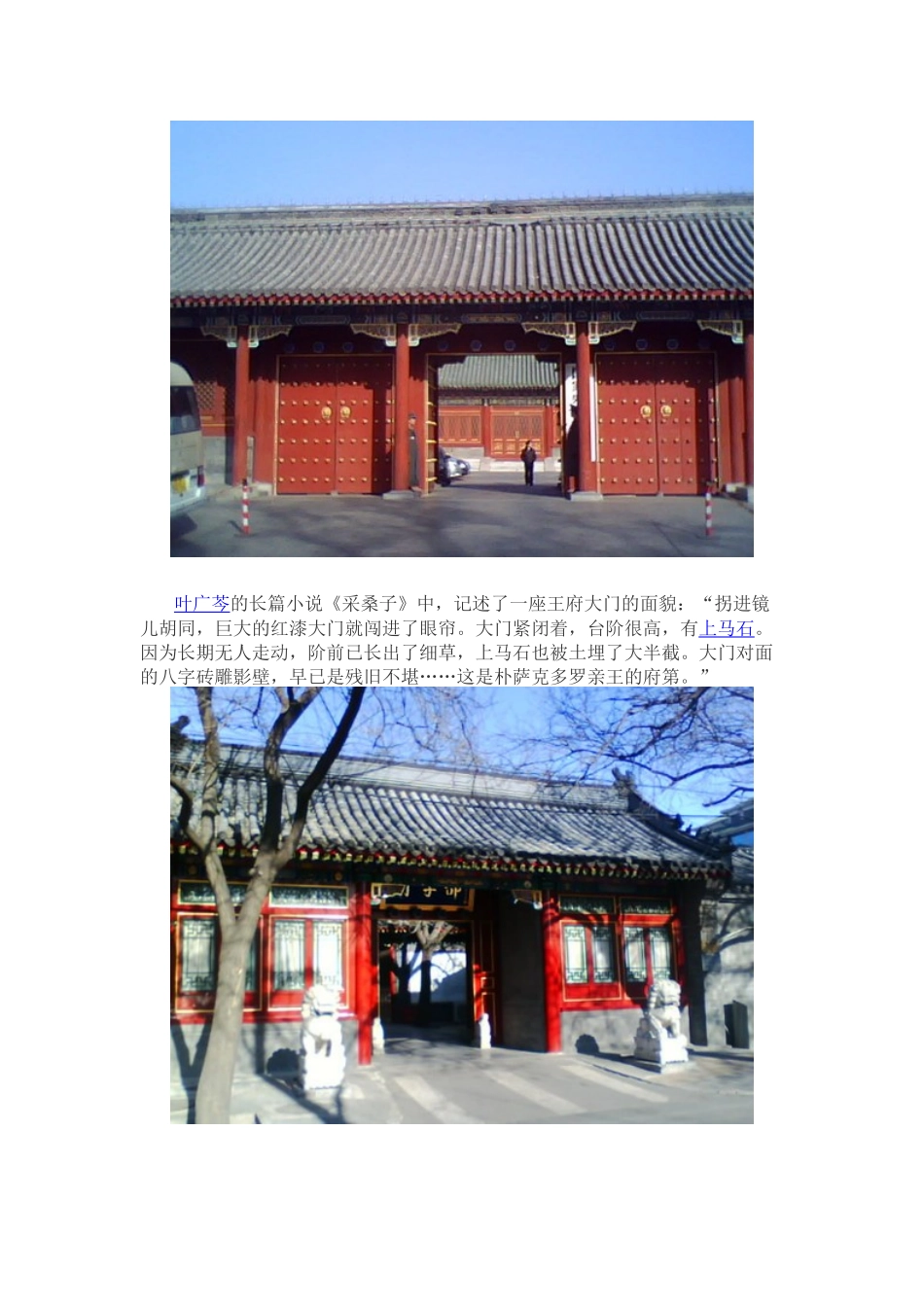 胡同里的大门_第2页