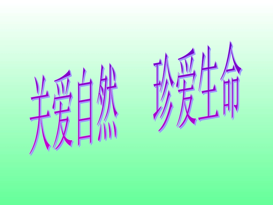 保护生物的多样性_第3页