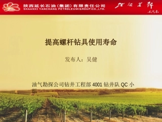 提高螺杆钻具使用寿命