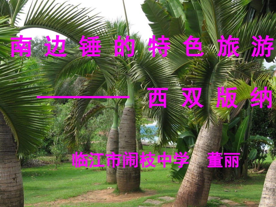 西 南 边 锤 的 特 色 旅 游 区__西双版纳_第1页