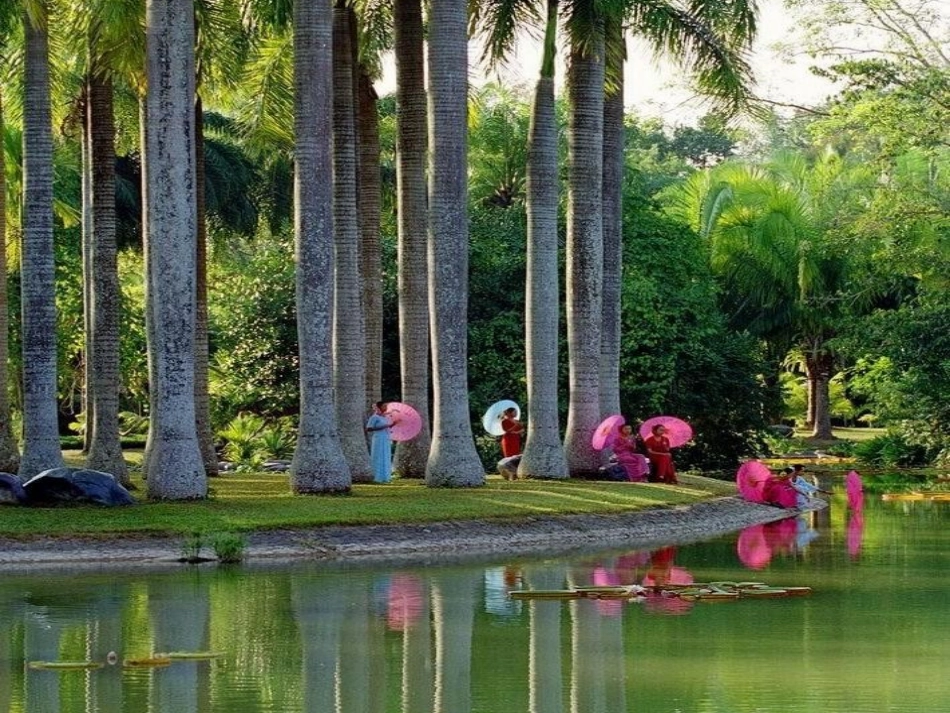 西 南 边 锤 的 特 色 旅 游 区__西双版纳_第3页
