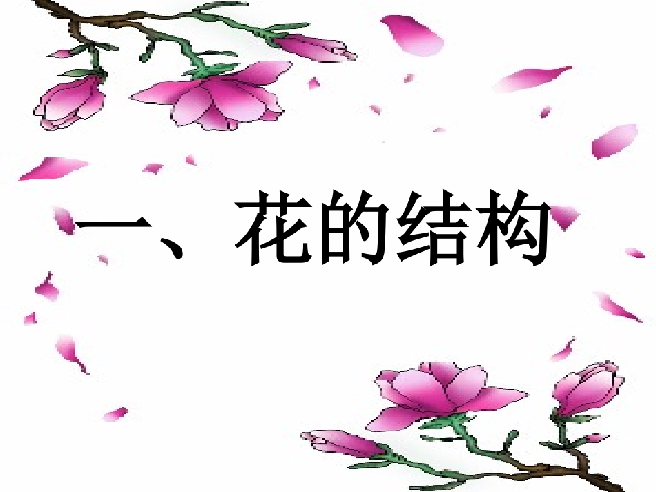 初中生物《植物的开花和结果》课件[1]_第2页