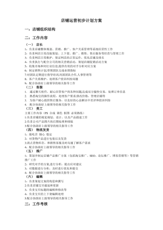 各种网络店铺运营初步计划方案