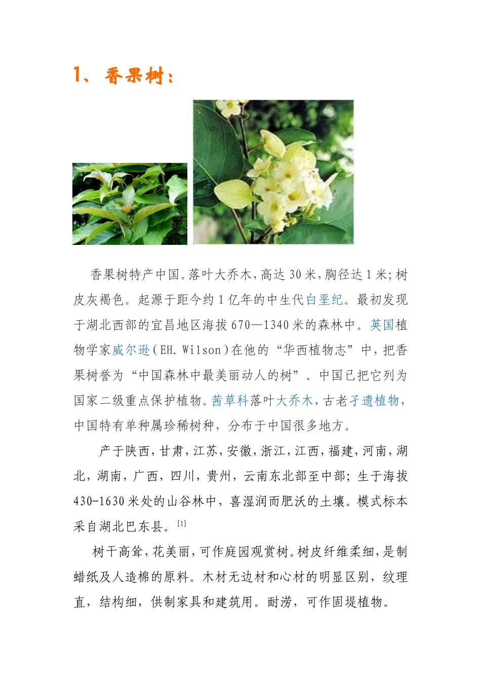 适合在黄山种植的花卉,树木_第1页