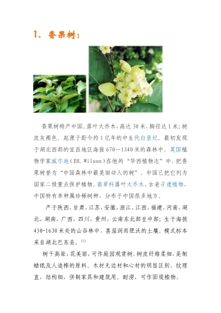 适合在黄山种植的花卉,树木