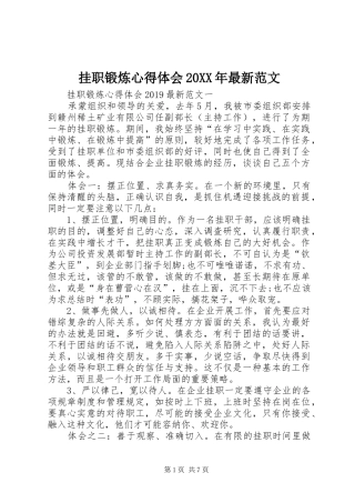 挂职锻炼心得体会20XX年最新范文