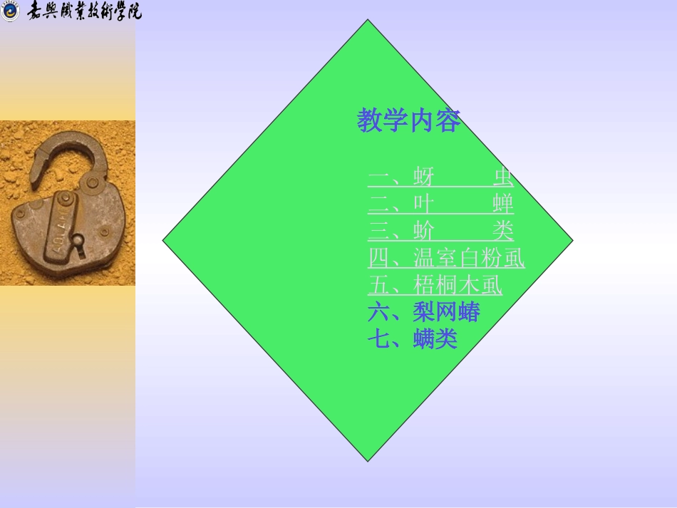 项目三 园林植物主要害虫及其防治 学习单元二 刺吸害虫_第2页