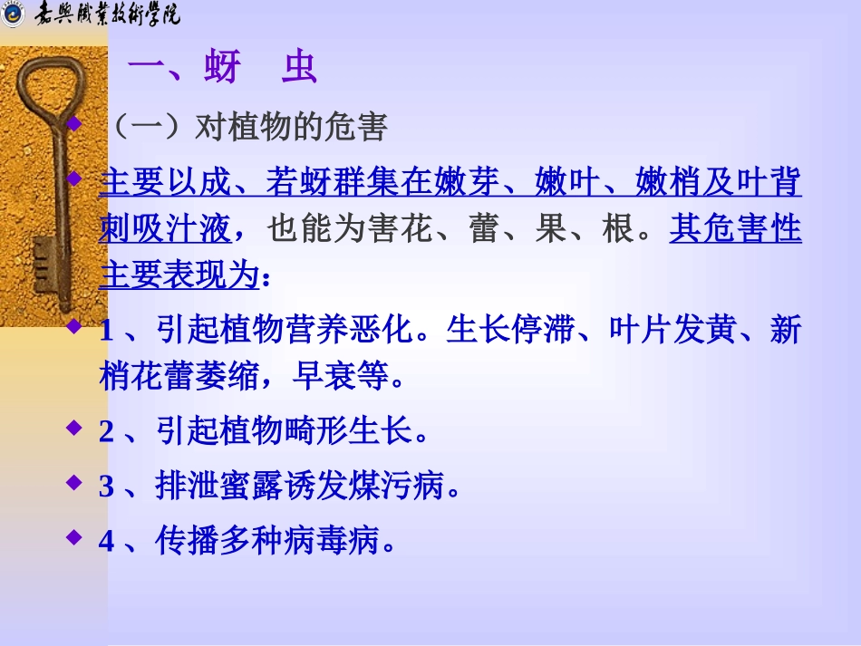 项目三 园林植物主要害虫及其防治 学习单元二 刺吸害虫_第3页