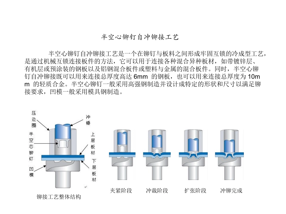 半空心自冲铆钉_第1页