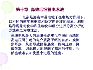 高效毛细管电泳
