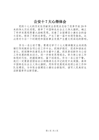 公安十7大心得体会