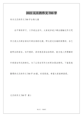 2024元旦的作文700字_4