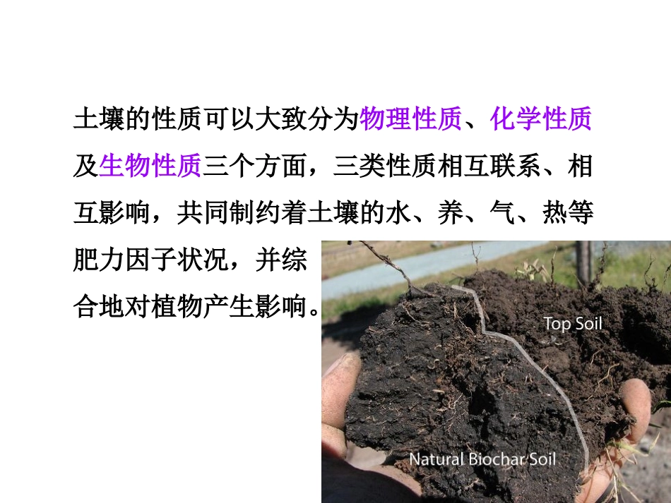 土壤的基本性质_第2页