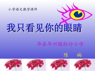 我只看见你的眼睛