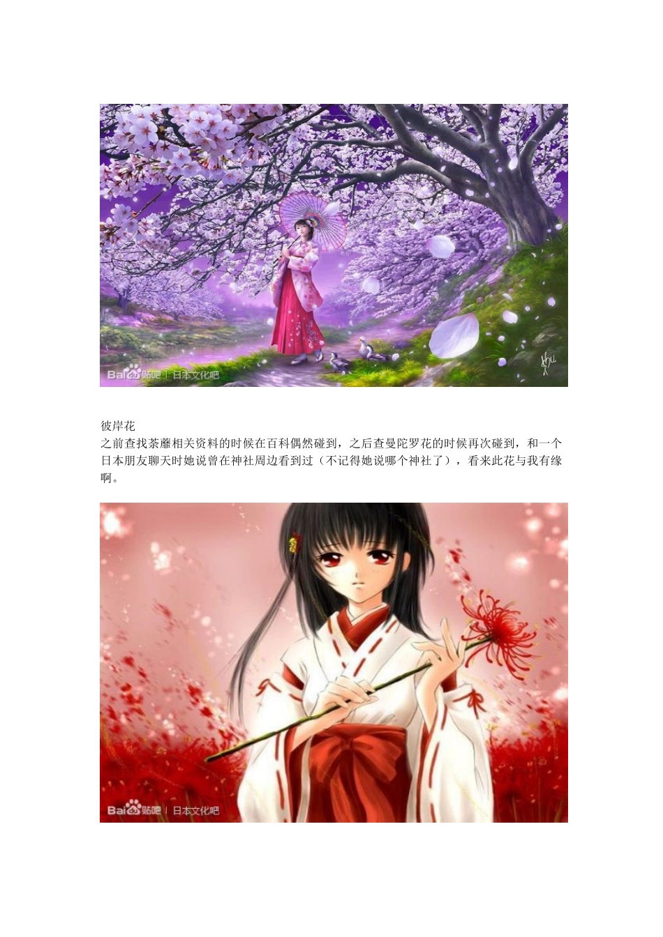 那些日本文化里的花木_第2页
