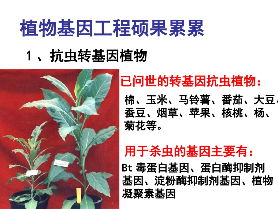 选修3专题1基因工程1.3基因工程的应用_第2页