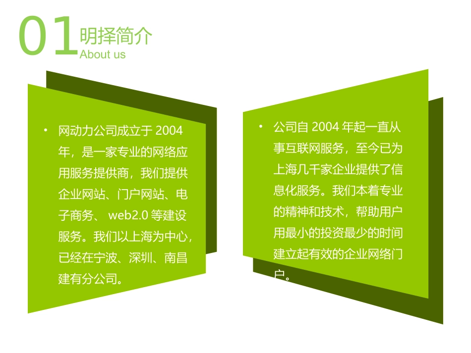 网动力公司介绍PPT_第3页