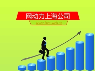网动力公司介绍PPT