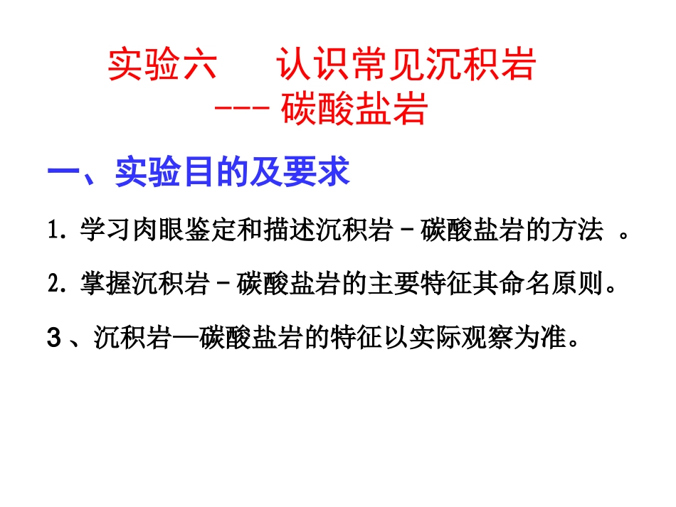 实验六：碳酸盐岩_第2页