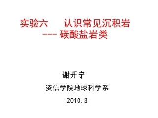 实验六：碳酸盐岩