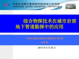 综合物探技术在城市岩溶地下管道勘探中的应用