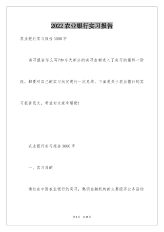 2024农业银行实习报告