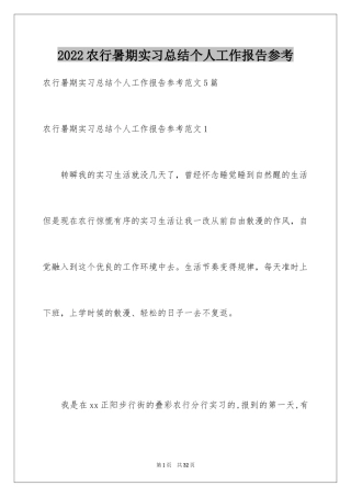 2024农行暑期实习总结个人工作报告参考