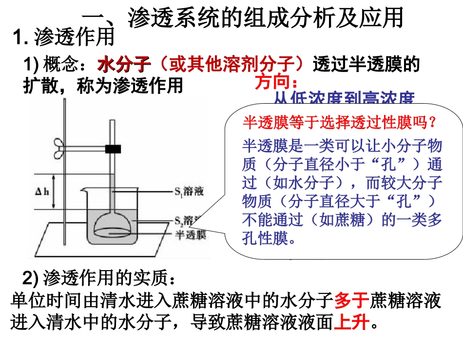 物质跨膜运输的实例复习_第2页